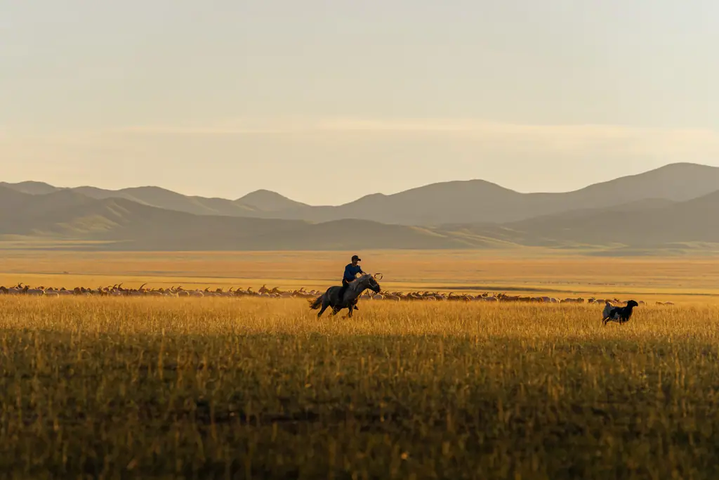 A rider gallops across golden steppe at dusk, mountains layered behind