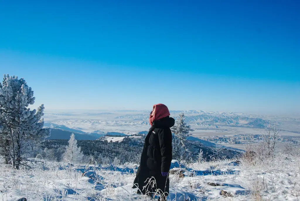 A hiker looking out over snowy forest on Bogd Khan mountain